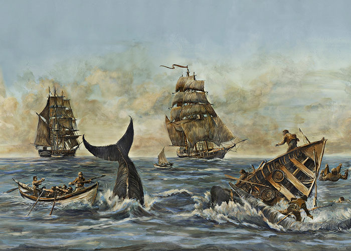 nantucket whaling wallpaper by audrey sterk design